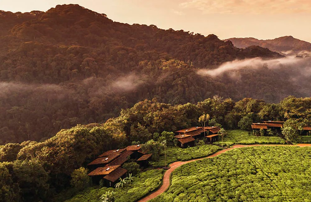 One&Only’s Luxe New Experience in Rwanda Lets You Trek With Gorillas